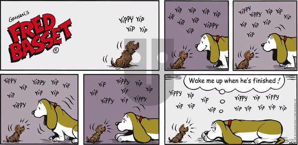 Fred Basset - Sunday November 16, 2014 Comic Strip