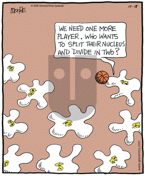 In the Bleachers on Wednesday October 18, 2006 Comic Strip