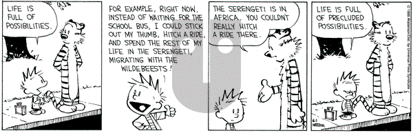 Calvin and Hobbes on Thursday June 1, 1995 Comic Strip