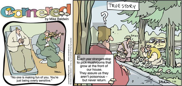 Cornered on Sunday July 26, 2009 Comic Strip