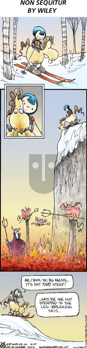 Non Sequitur on Sunday December 27, 2009 Comic Strip