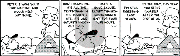 FoxTrot on Thursday November 22, 2001 Comic Strip