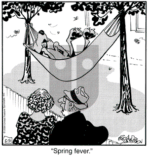 Marmaduke on Thursday June 15, 2000 Comic Strip