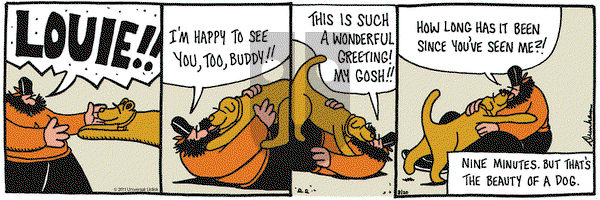 Overboard on Saturday August 20, 2011 Comic Strip