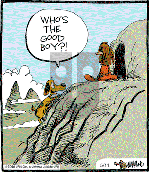 Reality Check on Wednesday May 11, 2016 Comic Strip