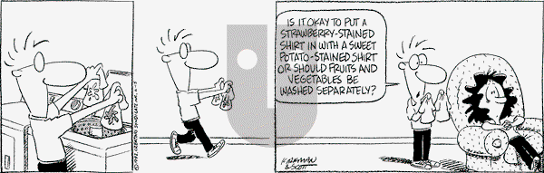 Baby Blues on Monday June 15, 1992 Comic Strip