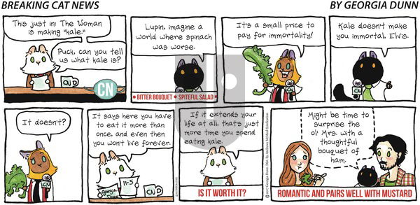 Breaking Cat News on Sunday November 5, 2017 Comic Strip