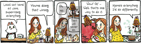 Breaking Cat News on Friday May 25, 2018 Comic Strip