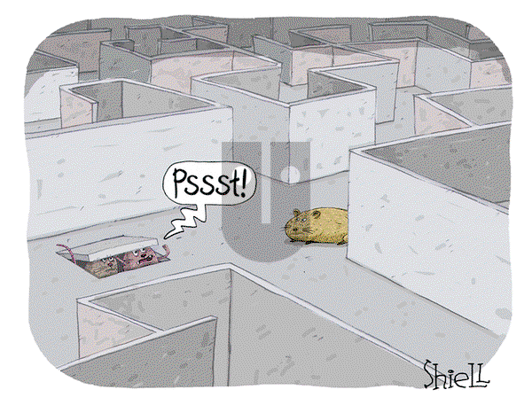 The Wandering Melon on Monday August 19, 2024 Comic Strip