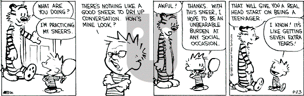 Calvin and Hobbes - Wednesday August 23, 1989 Comic Strip