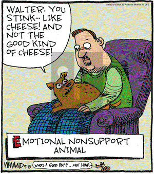 Reality Check on Tuesday September 15, 2020 Comic Strip