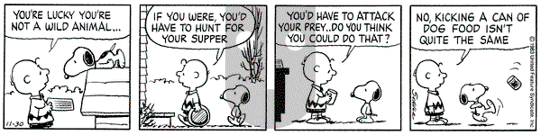 Peanuts - Wednesday November 30, 1983 Comic Strip