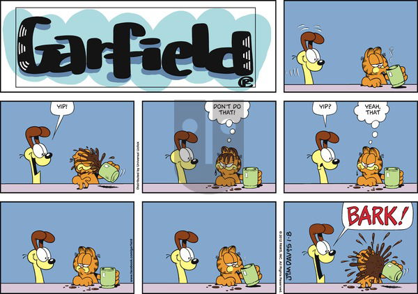 Garfield on Sunday January 8, 2012 Comic Strip