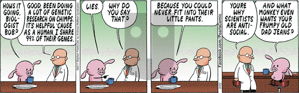 Pearls Before Swine on Wednesday February 22, 2017 Comic Strip