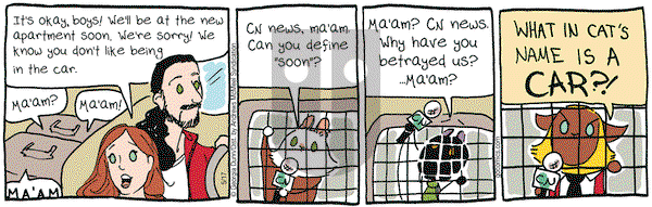 Breaking Cat News on Wednesday May 17, 2017 Comic Strip