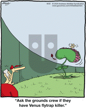 In the Bleachers - Thursday August 22, 2024 Comic Strip