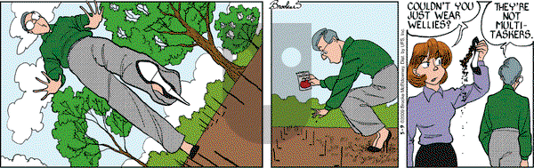 9 Chickweed Lane on Saturday May 9, 2009 Comic Strip