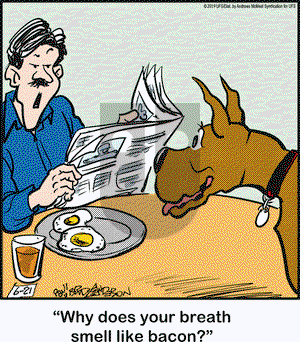 Marmaduke on Friday June 21, 2019 Comic Strip