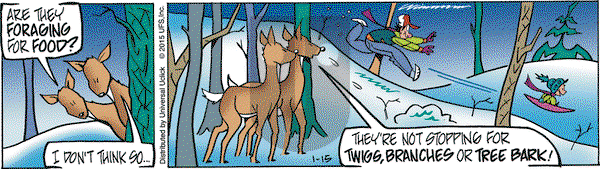 Rose is Rose on Thursday January 15, 2015 Comic Strip