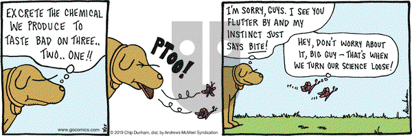 Overboard on Thursday July 25, 2019 Comic Strip