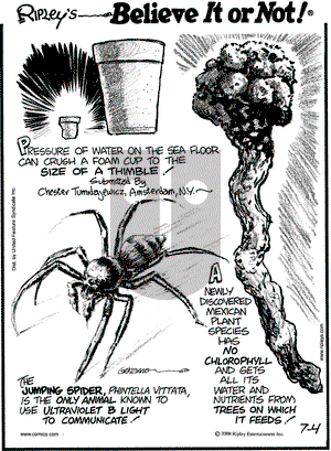 Ripley's Believe It or Not on Friday July 4, 2008 Comic Strip