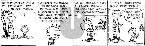 Calvin and Hobbes on Saturday October 18, 2025 Comic Strip