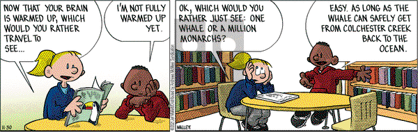 Frazz - Tuesday November 30, 2021 Comic Strip