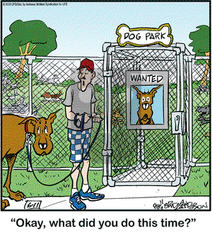 Marmaduke on Thursday June 11, 2020 Comic Strip