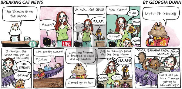 Breaking Cat News on Sunday April 19, 2020 Comic Strip