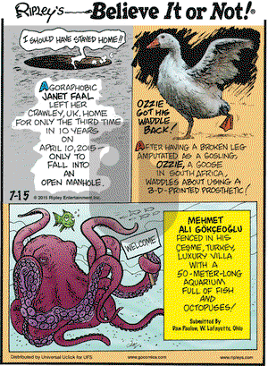 Ripley's Believe It or Not on Wednesday July 15, 2015 Comic Strip