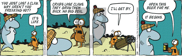 Sherman's Lagoon on Thursday May 8, 2025 Comic Strip