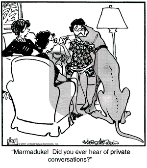 Marmaduke on Friday January 25, 2008 Comic Strip