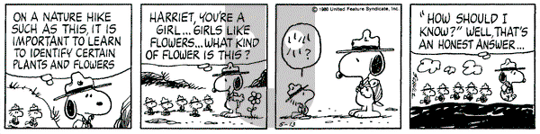 Peanuts on Tuesday May 13, 1980 Comic Strip