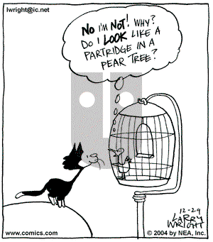Kit 'N' Carlyle on Wednesday December 29, 2004 Comic Strip