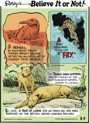 Ripley's Believe It or Not on Wednesday August 3, 2016 Comic Strip