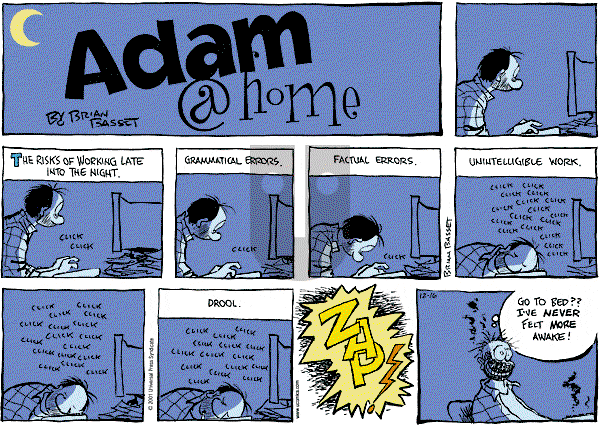 Adam@Home on Sunday December 16, 2001 Comic Strip