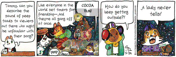 Breaking Cat News on Wednesday May 29, 2019 Comic Strip