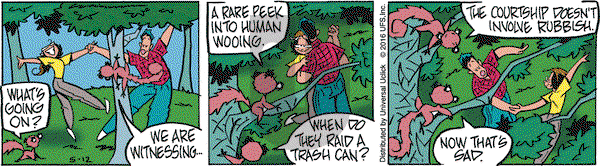 Rose is Rose on Thursday May 12, 2016 Comic Strip