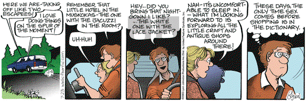 For Better or For Worse on Wednesday July 23, 2003 Comic Strip