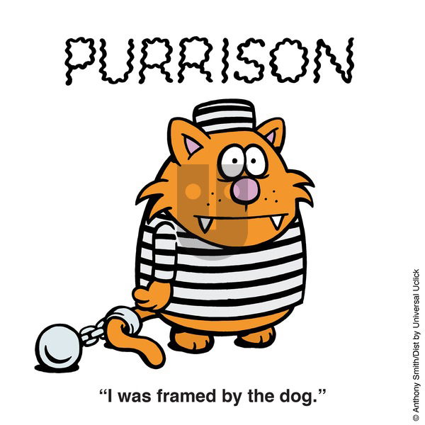 Learn to Speak Cat on Sunday January 26, 2025 Comic Strip