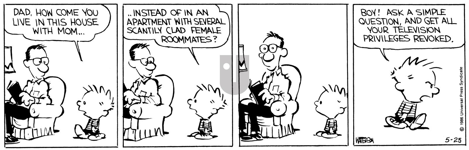 Calvin and Hobbes - Wednesday May 25, 2011 Comic Strip