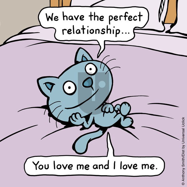 Cattitude — Doggonit on Sunday June 1, 2025 Comic Strip
