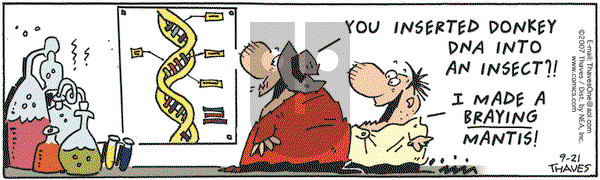 Frank and Ernest on Friday September 21, 2007 Comic Strip