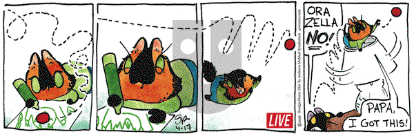 Breaking Cat News on Thursday April 17, 2025 Comic Strip