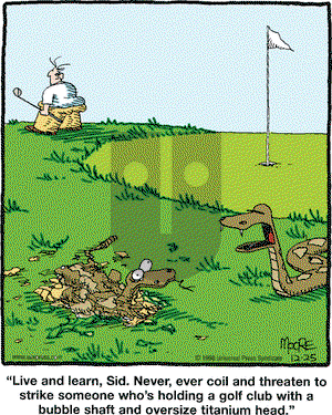 In the Bleachers on Friday December 25, 1998 Comic Strip