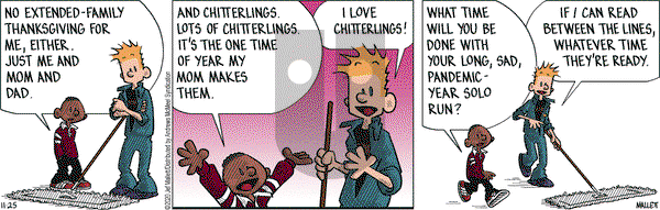 Frazz on Wednesday November 25, 2020 Comic Strip