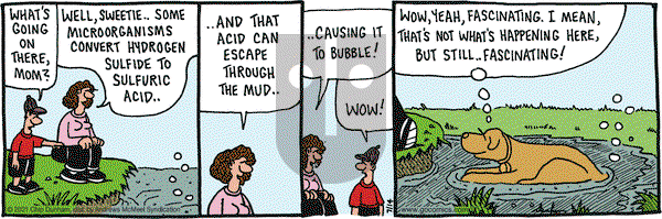 Overboard on Wednesday July 14, 2021 Comic Strip