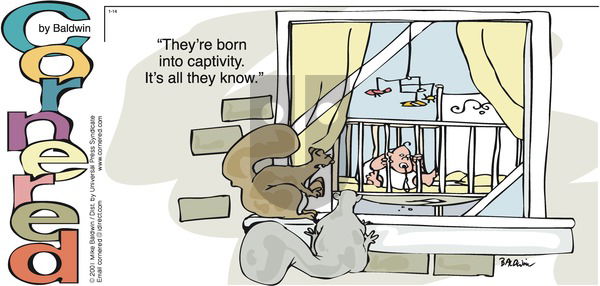 Cornered on Sunday January 14, 2001 Comic Strip