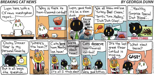 Breaking Cat News on Sunday June 15, 2025 Comic Strip