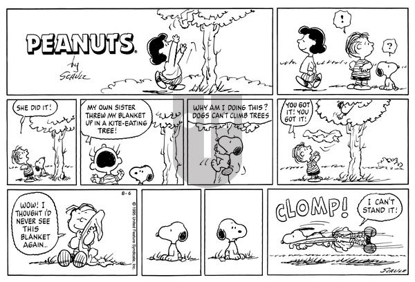 Peanuts on Sunday August 6, 1995 Comic Strip